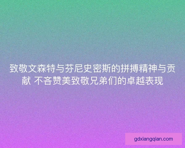 致敬文森特与芬尼史密斯的拼搏精神与贡献 不吝赞美致敬兄弟们的卓越表现