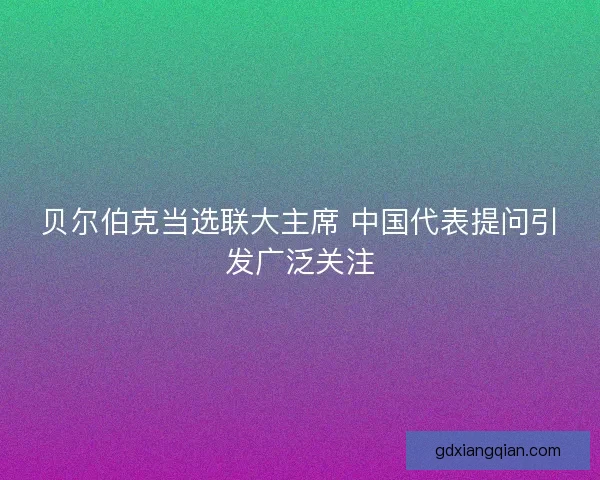 贝尔伯克当选联大主席 中国代表提问引发广泛关注